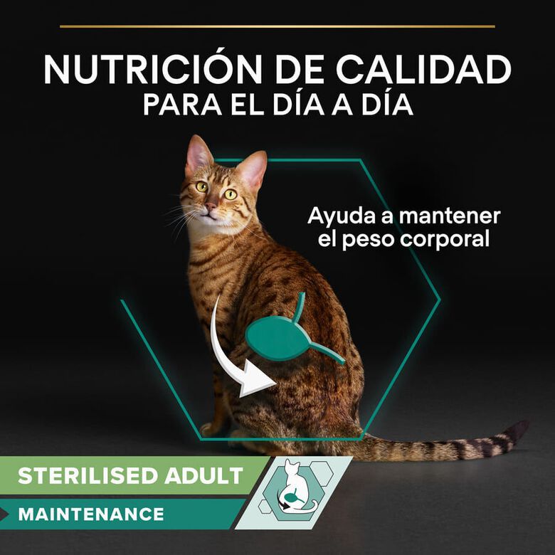 Pro Plan Sterilised Maintenance sobre con Pollo en salsa para gatos thumbnail