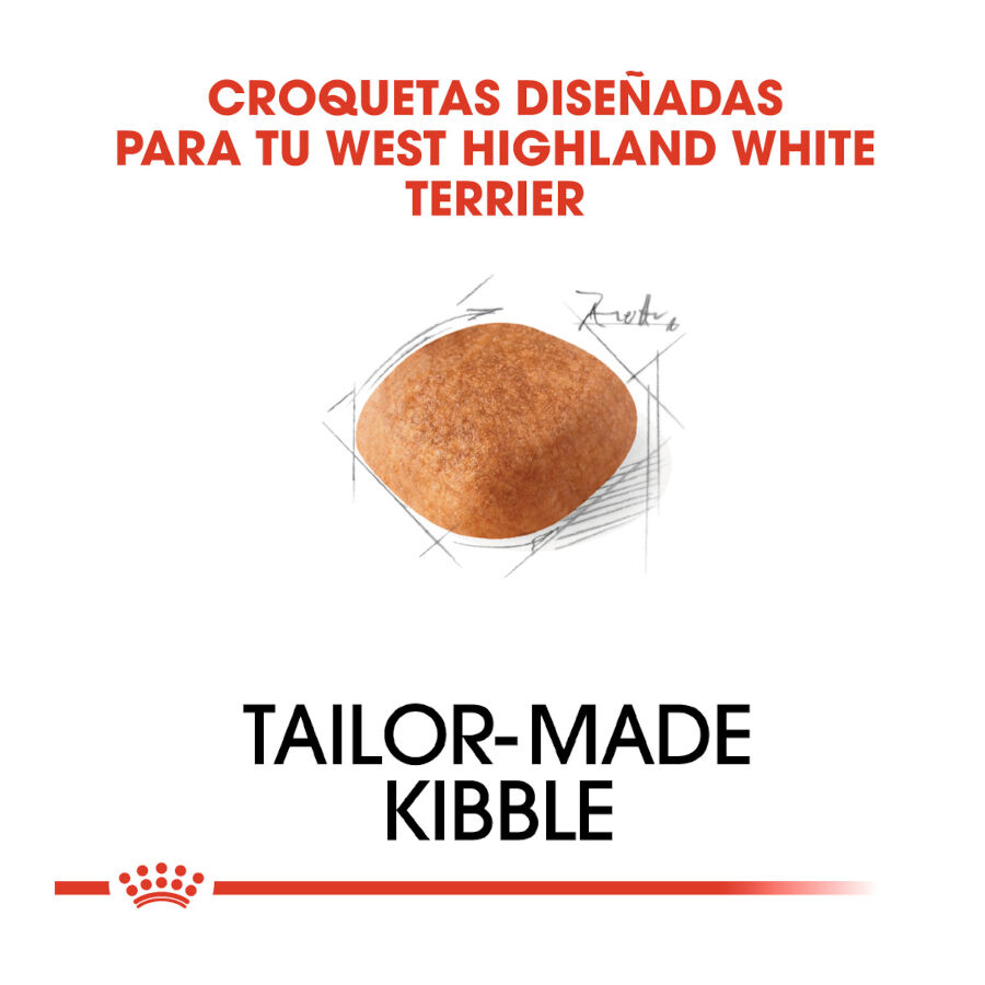 Royal Canin Adult White Terrier West Highland pienso para perros thumbnail