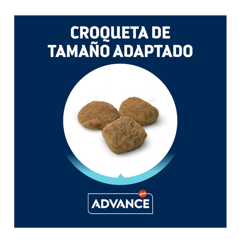Advance Senior Mini +8 Pollo y Arroz pienso para perros thumbnail