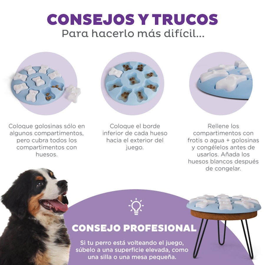 Outward Hound Puppy Smart Rompecabezas para cachorros, , large Imagen numero 4