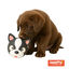 Tootoy! Chew French Bulldog mordedor de látex con sonido para perros, , large indicador imagen numero 2