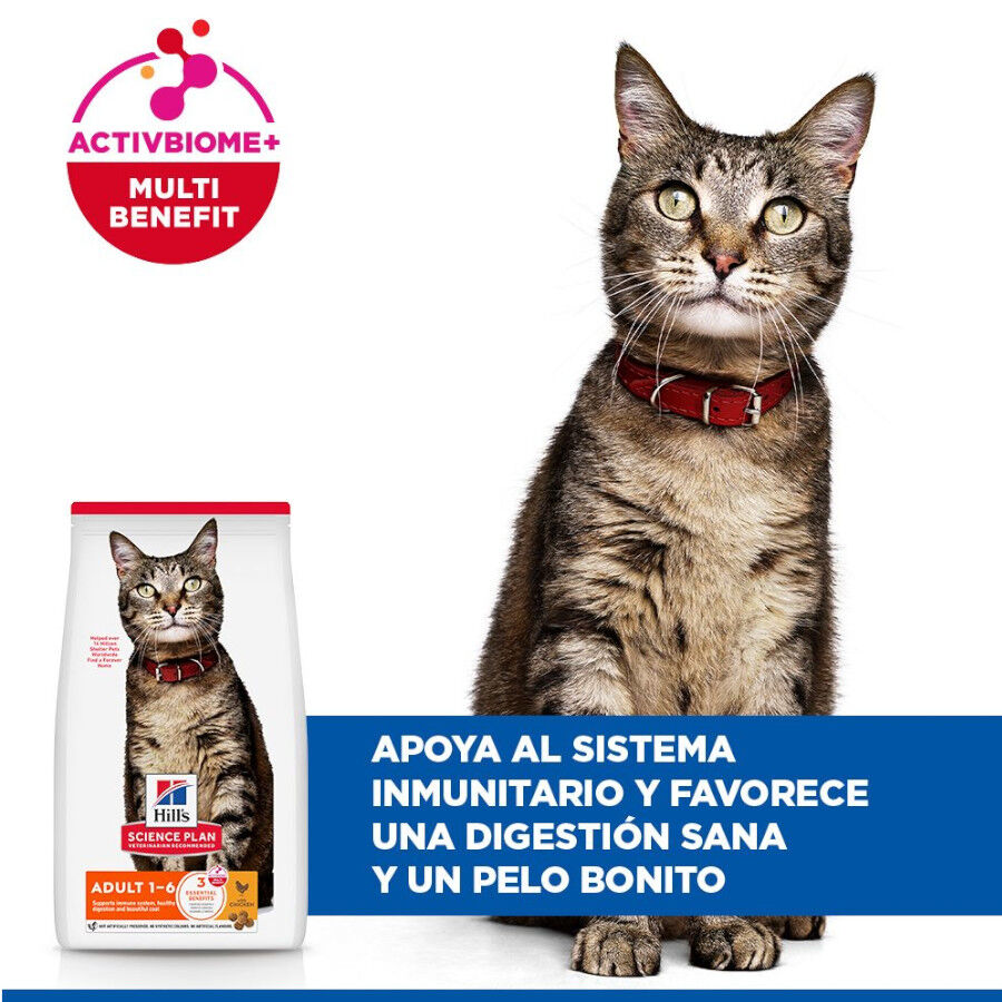 Hill&#039;s Science Plan Adult Pollo pienso para gatos thumbnail