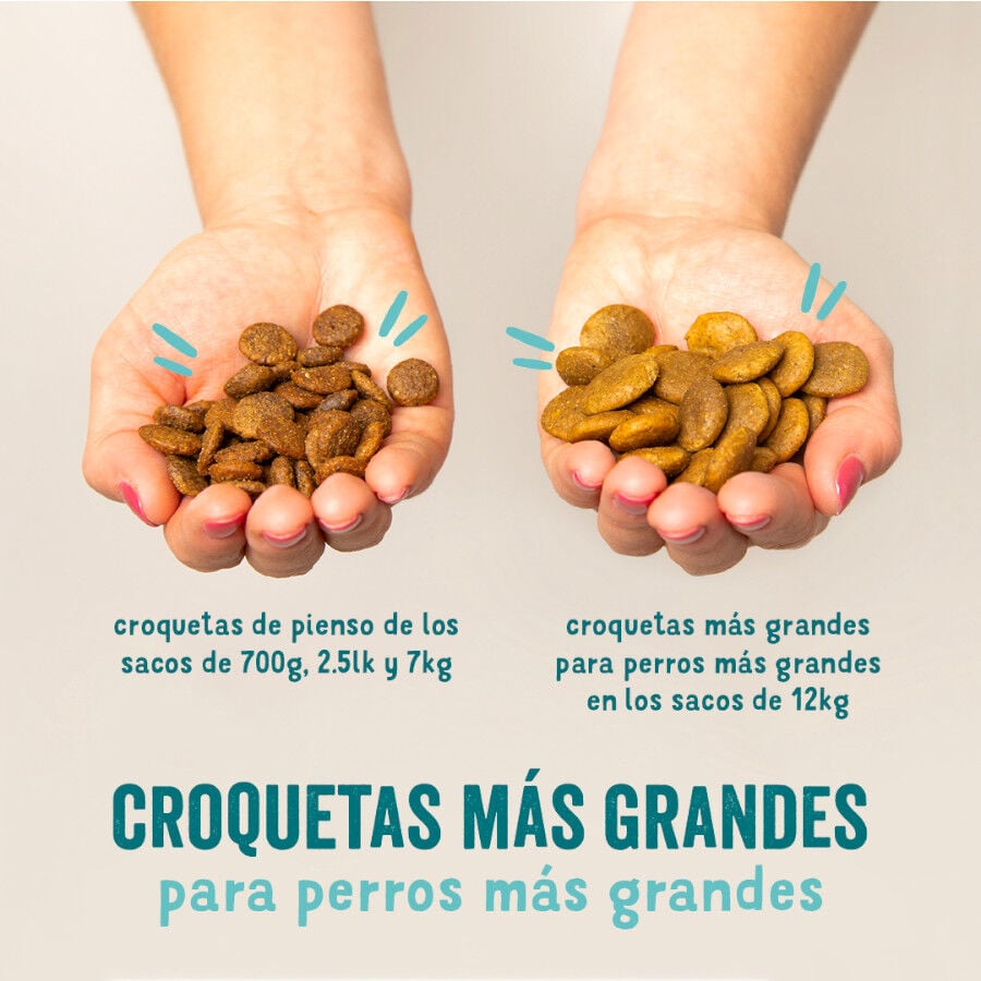 7 kg Edgard & Cooper Remolacha y Calabaza pienso para perros, , large Imagen numero 2