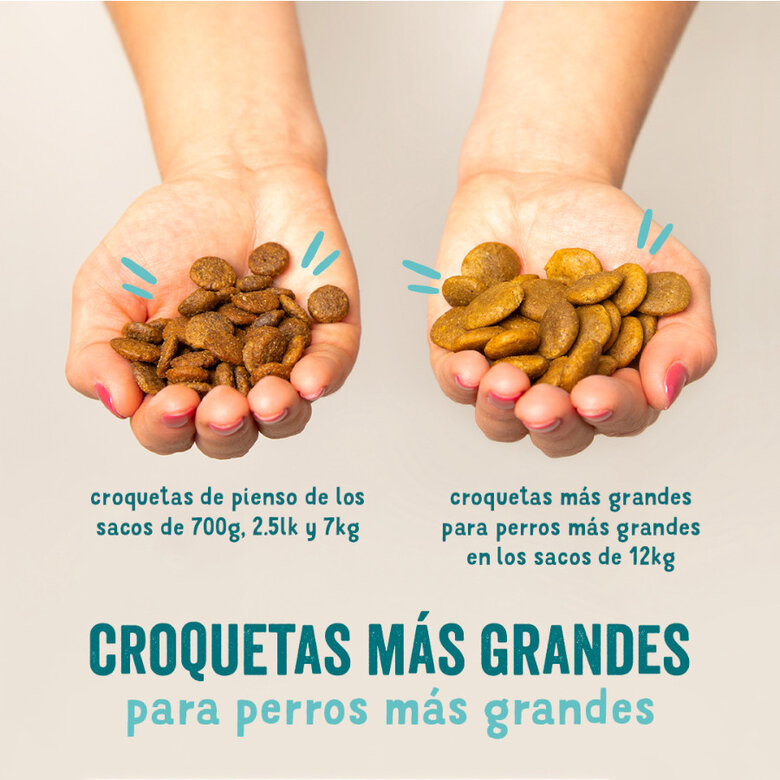 7 kg Edgard & Cooper Remolacha y Calabaza pienso para perros,  Imagen numero 2 7 kg Edgard & Cooper Remolacha y Calabaza pienso para perros, , large Imagen numero 2