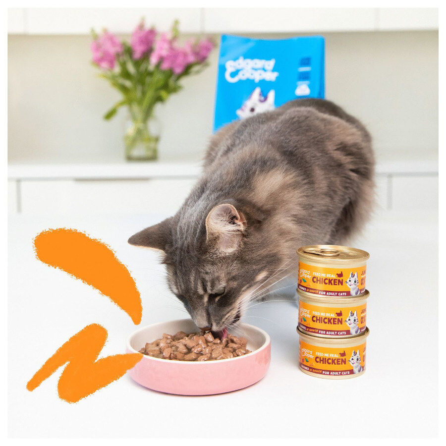 Edgard &amp; Cooper Adult Trocitos en Salsa lata para gatos thumbnail