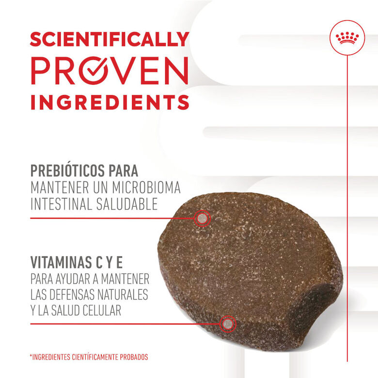 Royal Canin Immunity &amp; Digestion Chews Puppy Suplemento nutricional para perros thumbnail