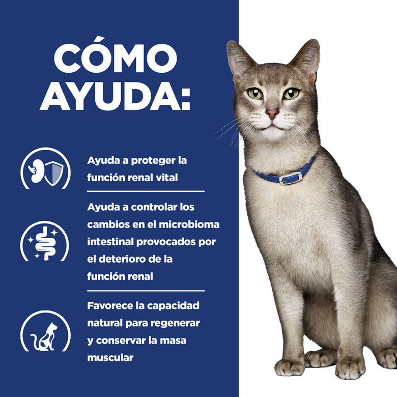 Hill&#039;s Prescription Diet kidney Care k/d Atún pienso para gato thumbnail
