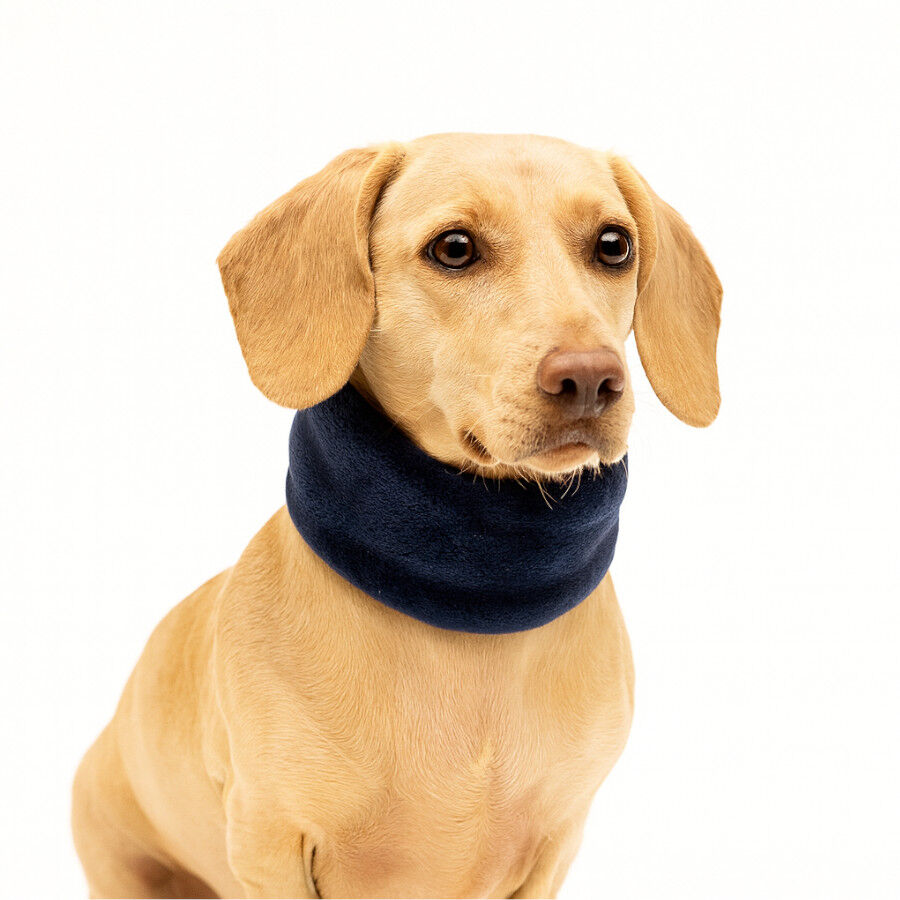 Outech Bufanda Azul para perros thumbnail