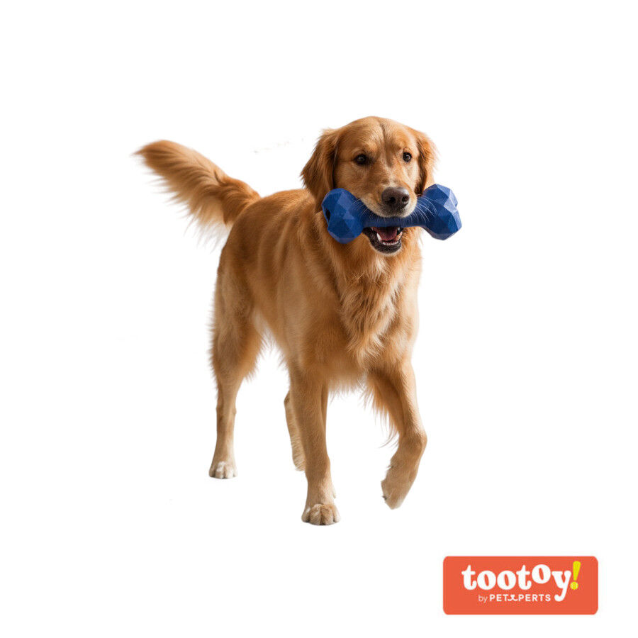 Tootoy! Hueso Portagolosinas de Goma Azul para perros, , large Imagen numero 8