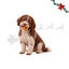 1 ud. Wonder Christmas Donut Snacks para perros, , large indicador imagen numero 1