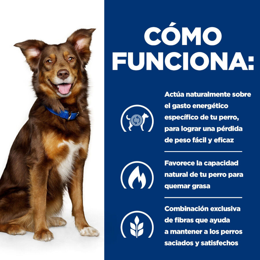 12 kg Hill's Prescription Diet Metabolic Pollo pienso para perros, , large Imagen numero 6