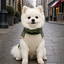 Gotoo Jersey Polar Verde para perros, , large indicador imagen numero 1