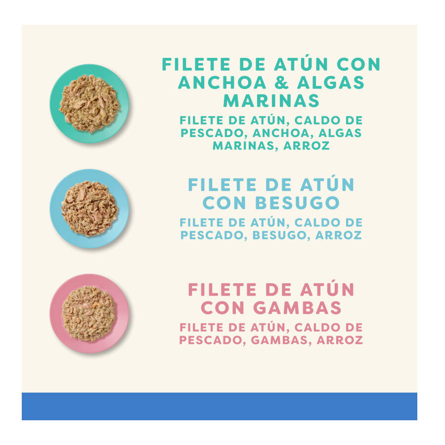 12 sobres x 70 g Applaws Selecci&oacute;n de Pescado sobre para gatos - Multipack, , large Imagen numero 4