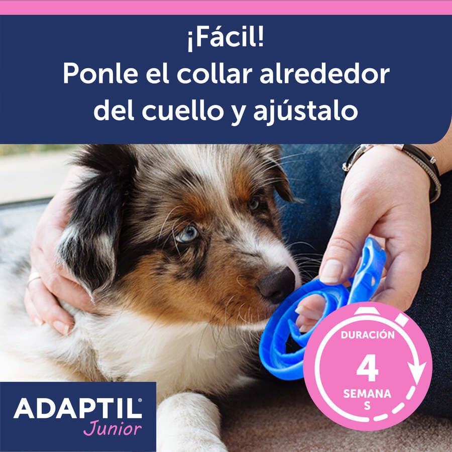 Adaptil Junior Collar Anti-estr&eacute;s para perros, , large Imagen numero 6