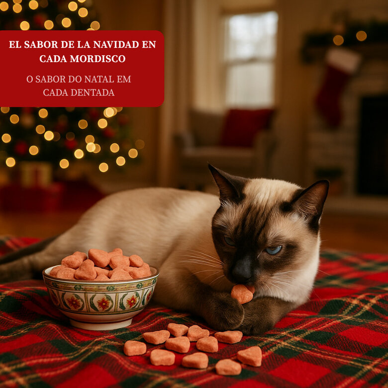 50 g Wonder Christmas Bocaditos Navideños para gatos,  Imagen numero 4 50 g Wonder Christmas Bocaditos Navideños para gatos, , large Imagen numero 4