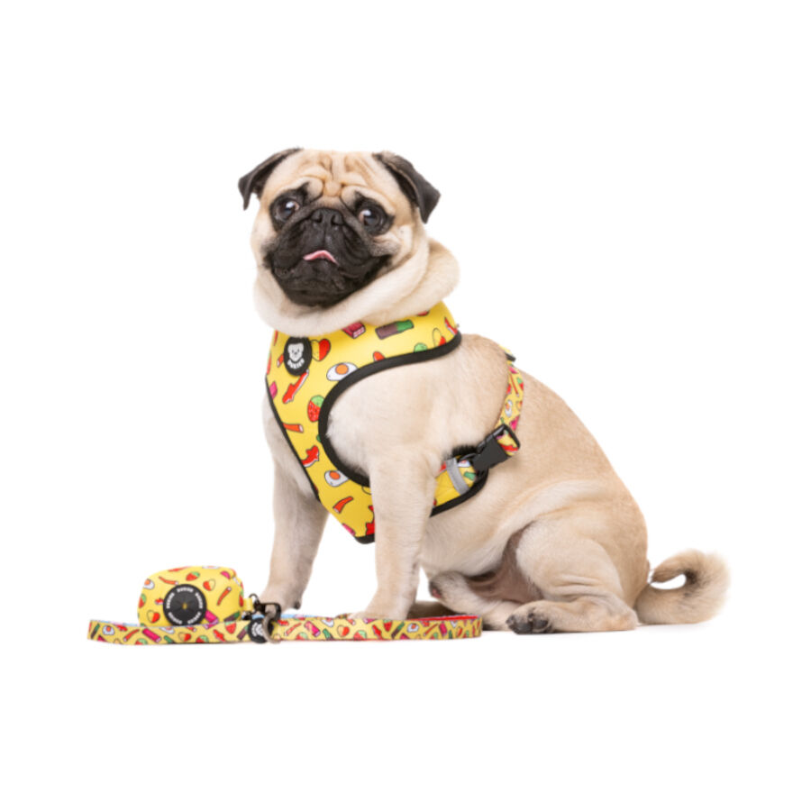 Dukier Sweets correa para perros thumbnail