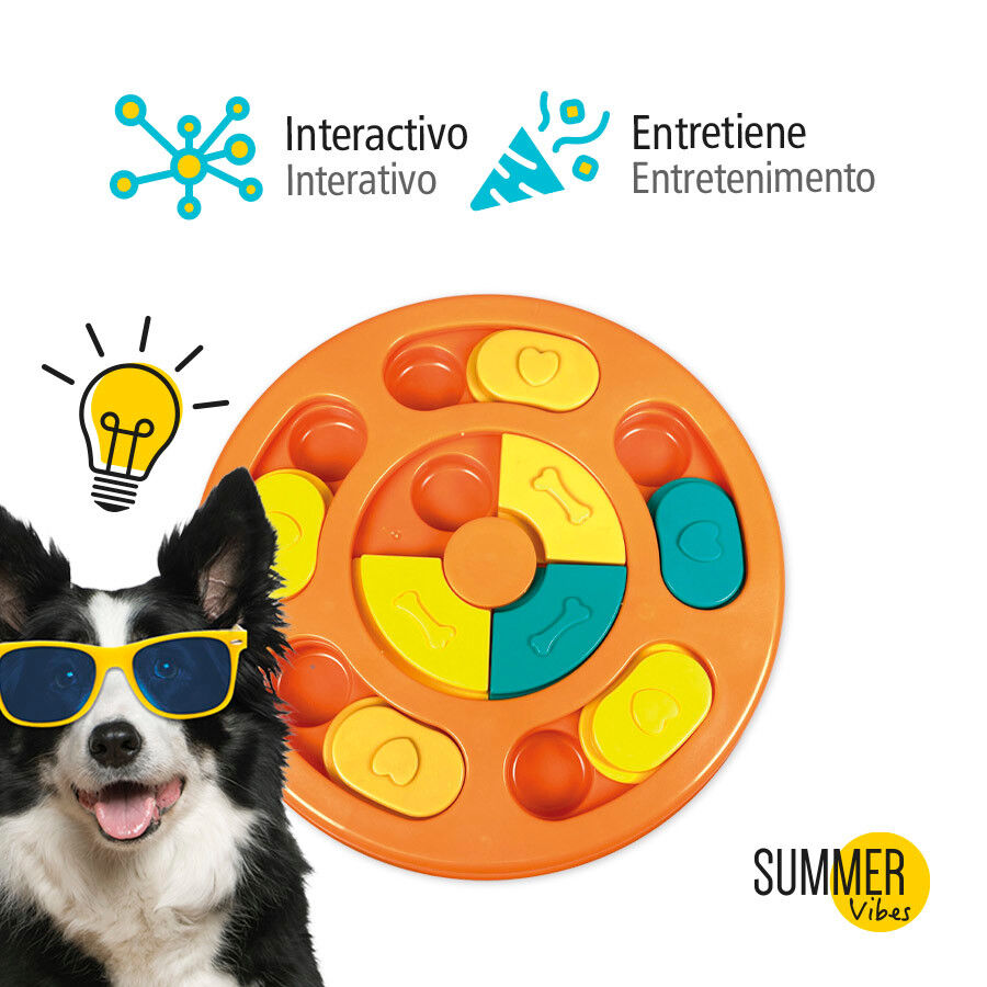 Summer Vibes Juguete Interactivo para perros, , large Imagen numero 3