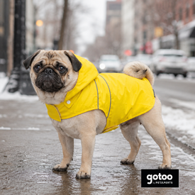 Gotoo Impermeable Reflectante Amarillo para perros