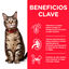 85 g Hill's Science Plan Adult Ternera Sobre en Salsa para gatos, , large indicador imagen numero 2