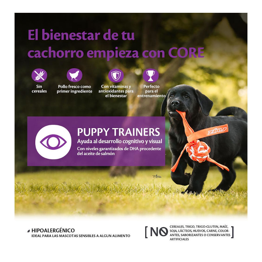 170 g Wellness Core Bocaditos Puppy Trainers Pollo para perros, , large Imagen numero 3