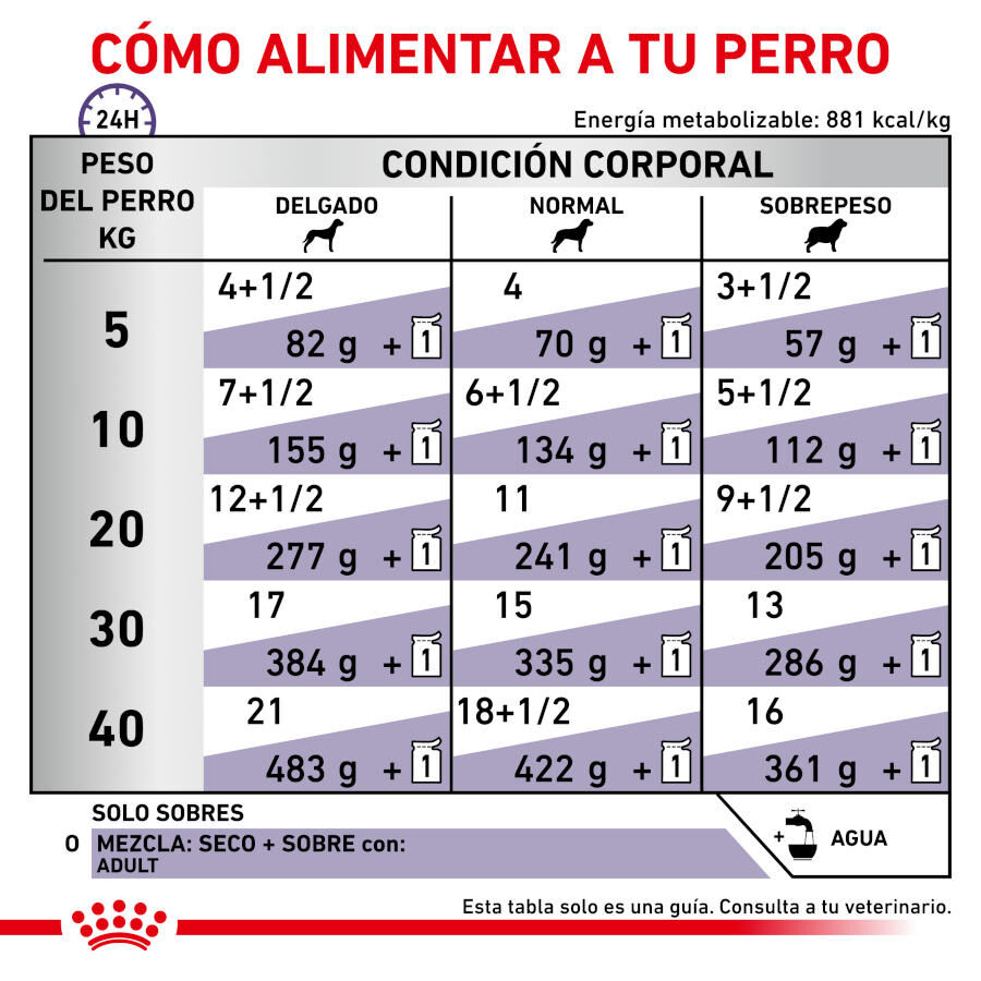 12 sobres x 85 g Royal Canin Expert Adult L&aacute;minas en Salsa sobre para perros, , large Imagen numero 4