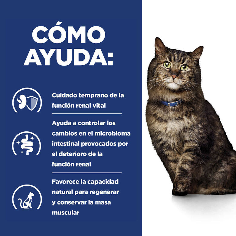 Hill&#039;s Prescription Diet Kidney Care k/d Pienso para gatos thumbnail