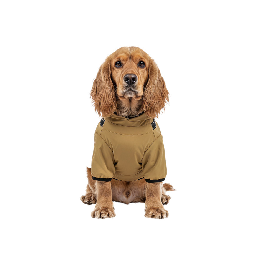 Gotoo Chaqueta Impermeable con Arn&eacute;s para perros, , large Imagen numero 7