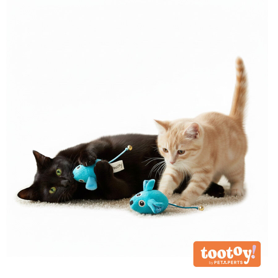 Tootoy! Pack de 2 Ratones con Catnip y Cascabel Azules para gatos thumbnail