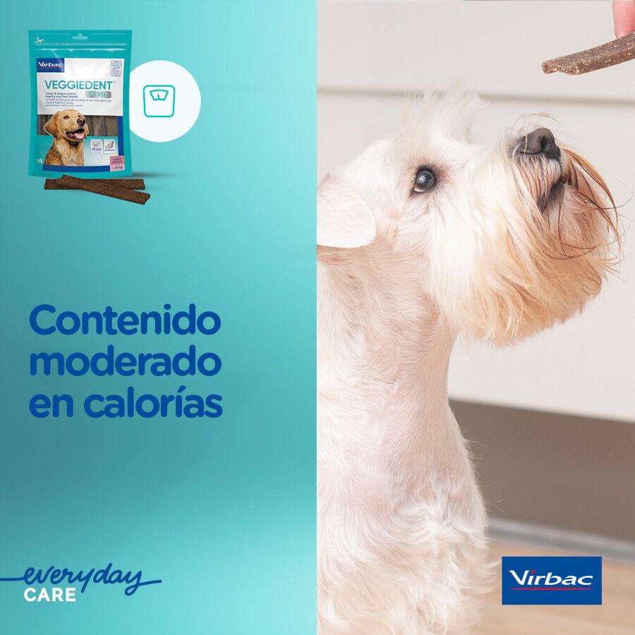 Virbac Snacks Dentales Veggiedent Fresh para perros de raza mediana thumbnail