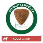 Affinity Libra Adult Buey pienso para perros, , large image number null