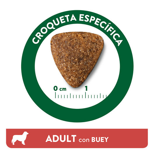 Affinity Libra Adult Buey pienso para perros, , large image number null