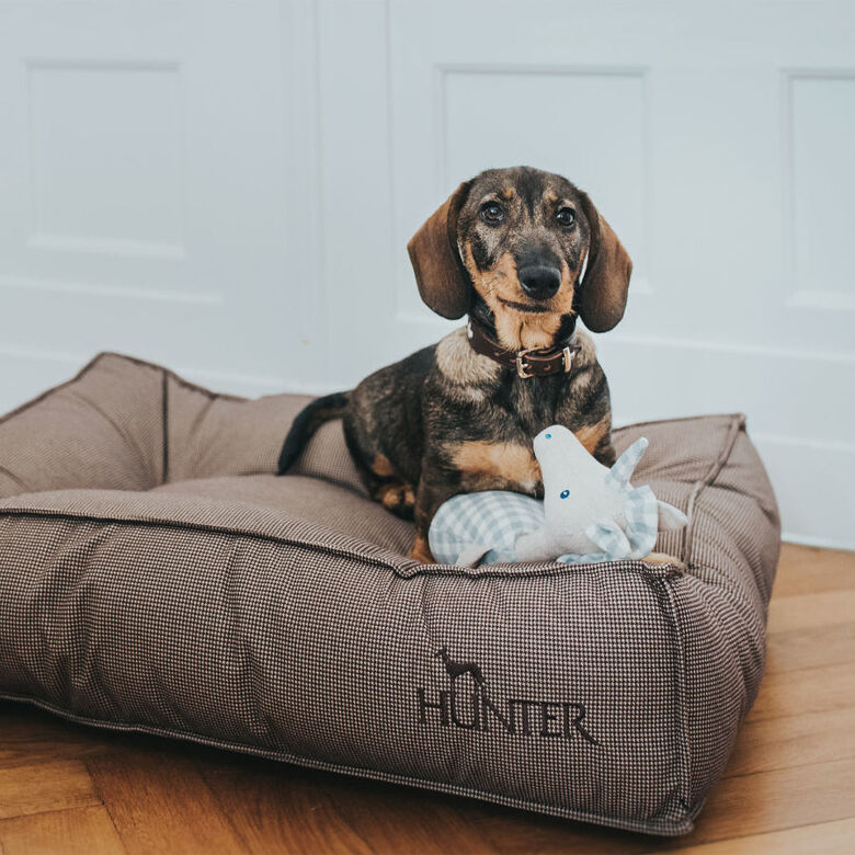Hunter Lancaster Cama Marrón para perros thumbnail