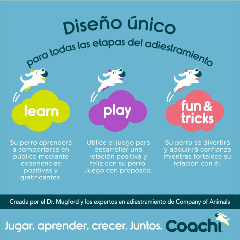 Coachi Training Line Correa de Adiestramiento para perros,  Imagen numero 7 Coachi Training Line Correa de Adiestramiento para perros, , large Imagen numero 7