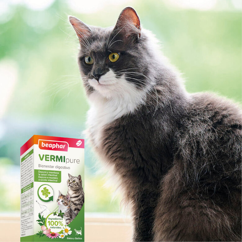Beaphar VERMIpure Repelente Interno Natural en comprimidos para gatos y gatitos, , large image number null