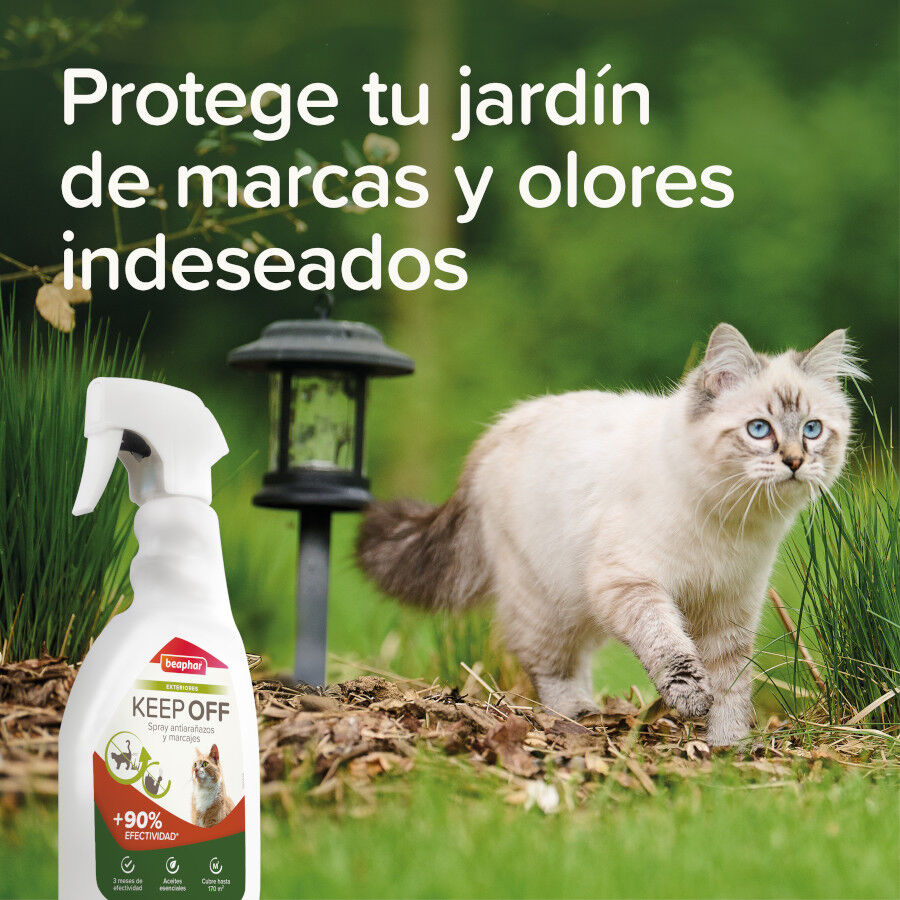 Beaphar Spray Educador Exteriores para Gatos thumbnail