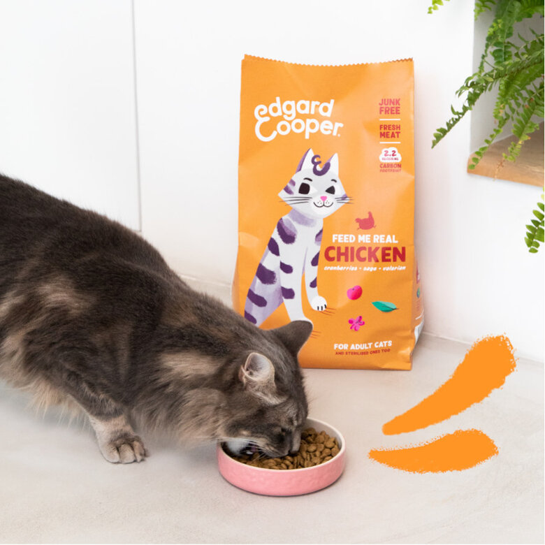 Edgard & Cooper Adult Pollo pienso para gatos, , large image number null