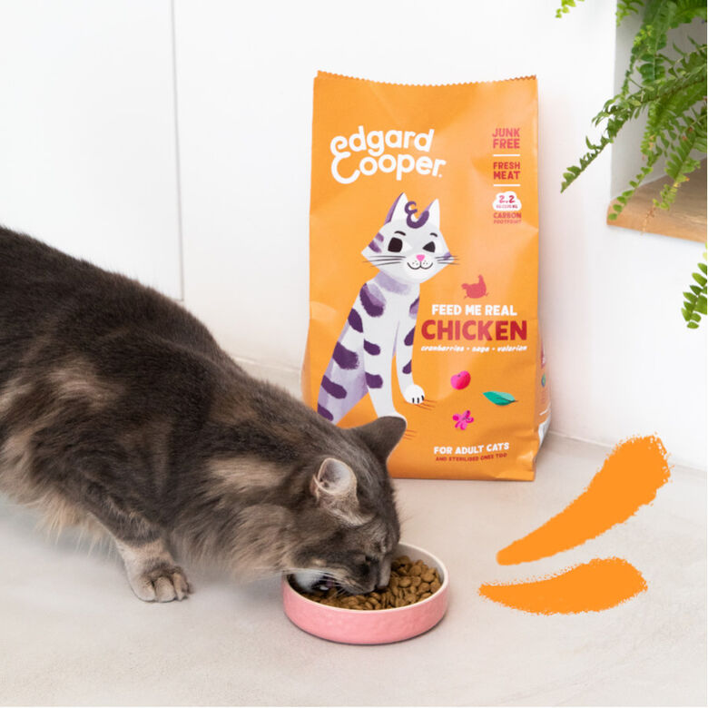 Edgard &amp; Cooper Adult Pollo pienso para gatos thumbnail