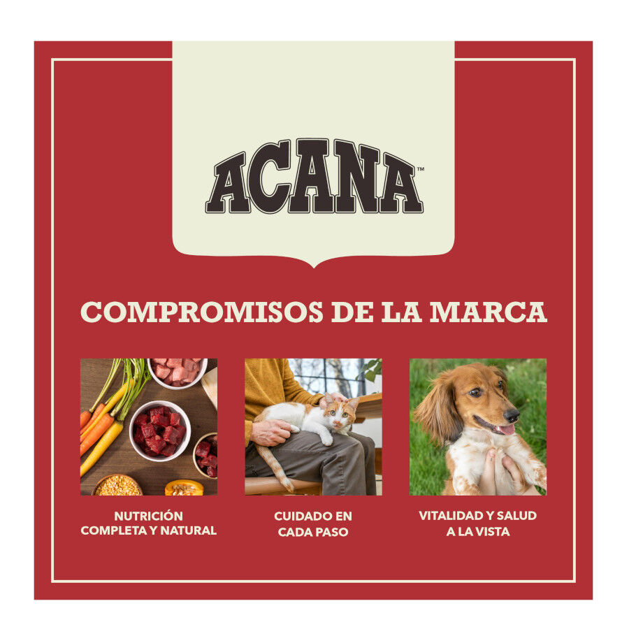 11.4 kg Acana Red Meat pienso para perros, , large Imagen numero 11