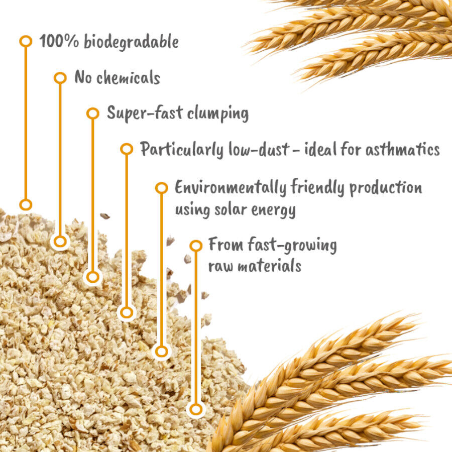 Golden Grey Trigo Arena Aglomerante para gatos, , large Imagen numero 7