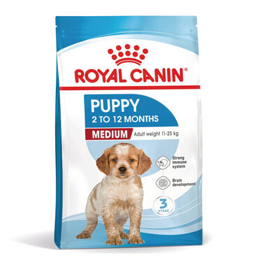 Royal Canin Puppy Medium pienso para cachorros