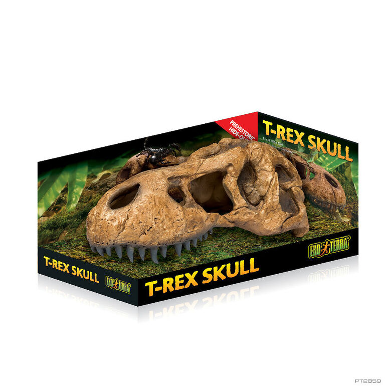 Exo Terra Cráneo de T-Rex Cueva para terrarios thumbnail
