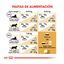 10 kg Royal Canin Adult Norwegian Forest pienso para gatos, , large indicador imagen numero 8