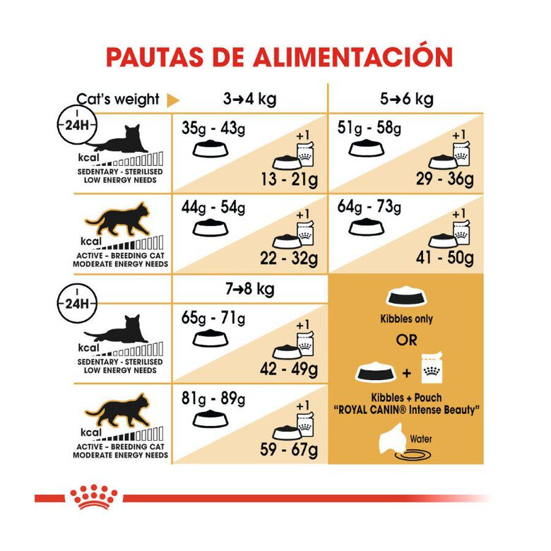 Royal Canin Adult Norwegian Forest pienso para gatos thumbnail