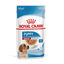 140 g Royal Canin Medium Puppy Sobres, , large indicador imagen numero 1