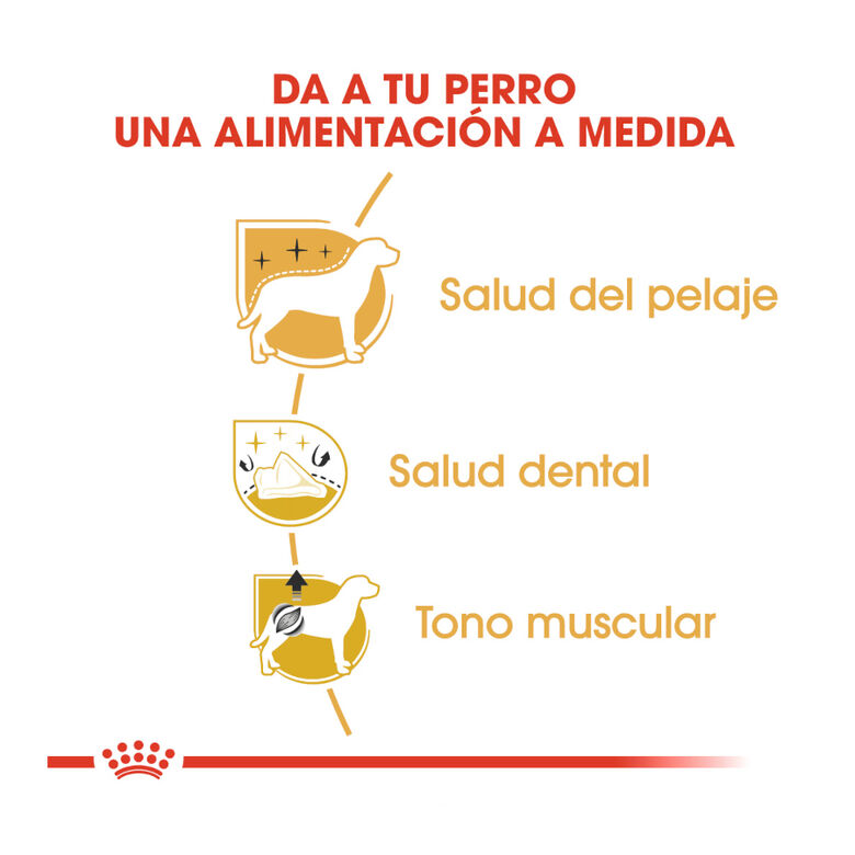 Royal Canin Adult Poodle pienso para perros thumbnail