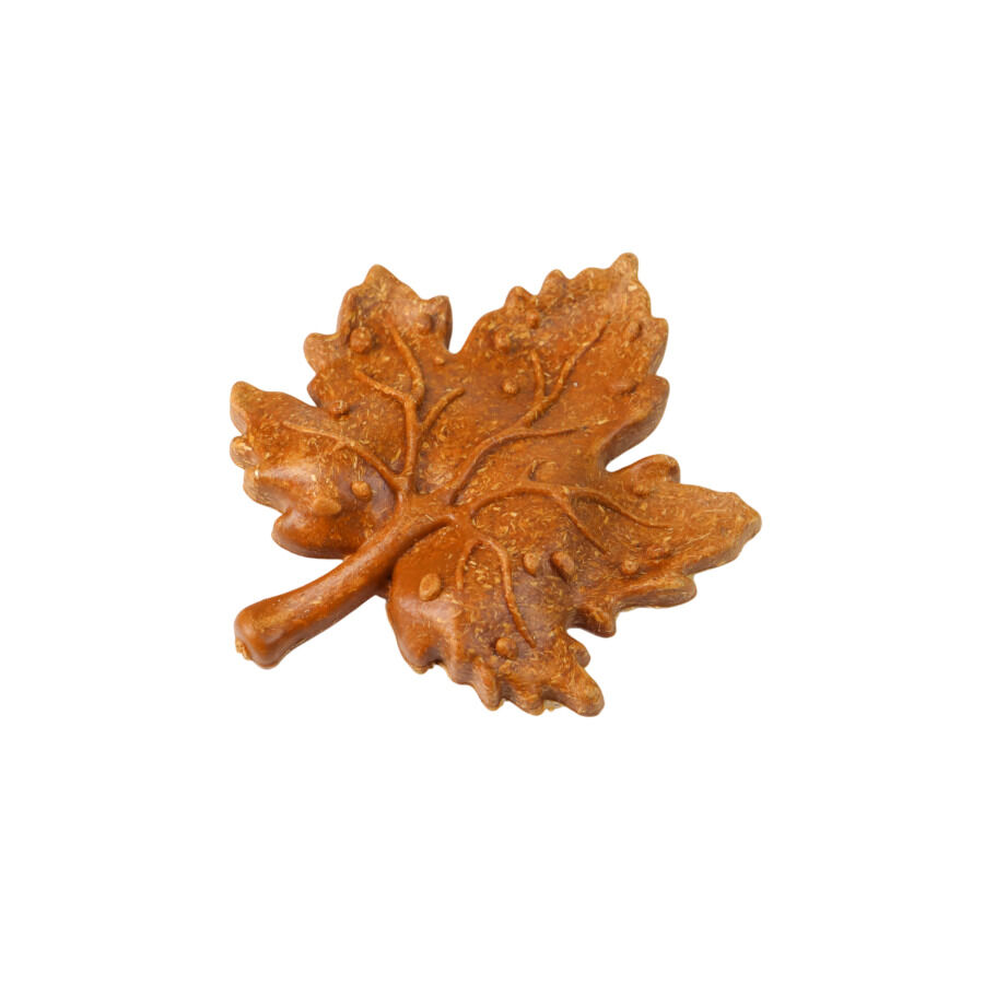 Nibbz Hojas Comestibles complemento alimenticio para roedores, , large Imagen numero 2