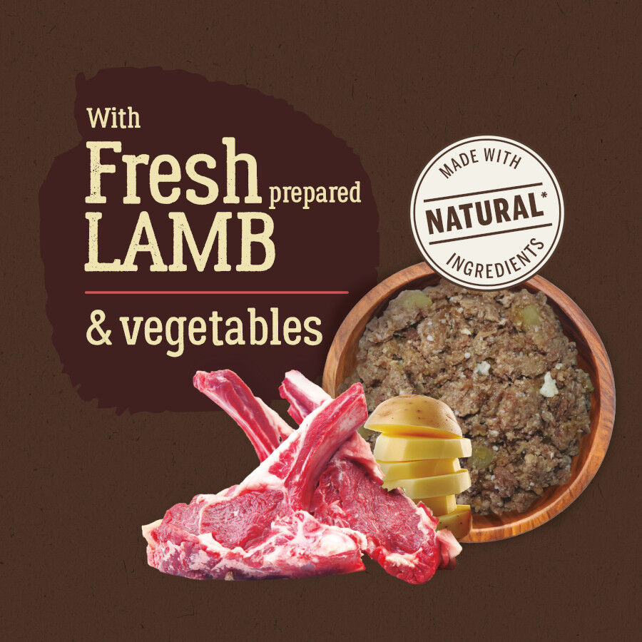 True Origins Pure Cordero lata para Perro thumbnail