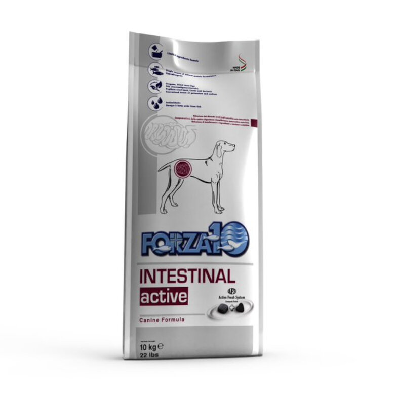 Forza 10 Active Line Intestinal pienso para perros, , large image number null