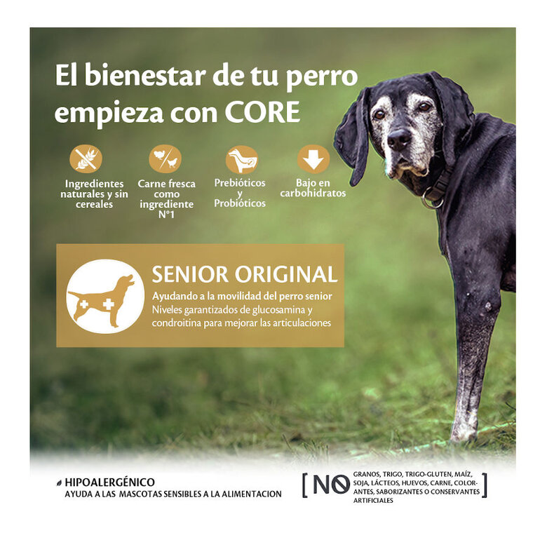 10 kg Wellness Core Senior Pollo y Pavo pienso para perros,  Imagen numero 2 10 kg Wellness Core Senior Pollo y Pavo pienso para perros, , large Imagen numero 2