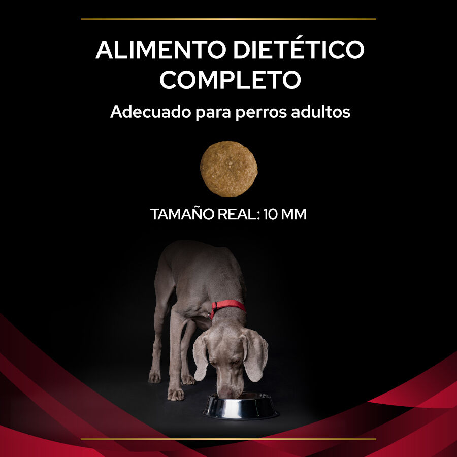3 kg Pro Plan Veterinary Diets CC Cardiocare pienso para perros, , large Imagen numero 3